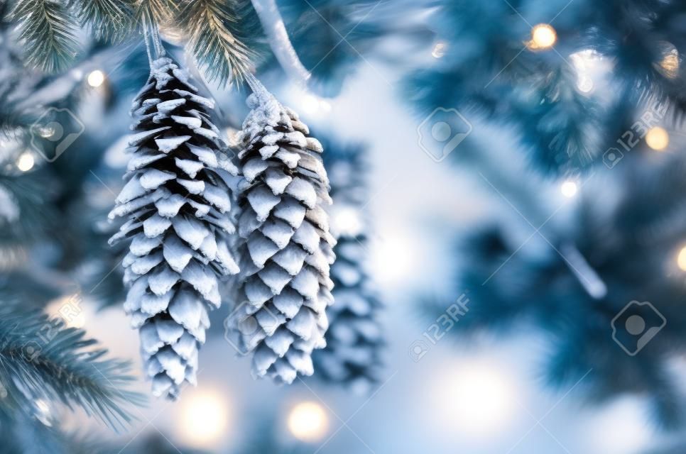 Cones on Christmas tree