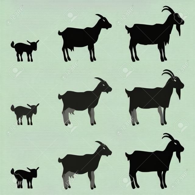 Vector Set of Goats. Silhouette, Sketch and Cartoon Illustrations. Baby and Adult Farm Animals.