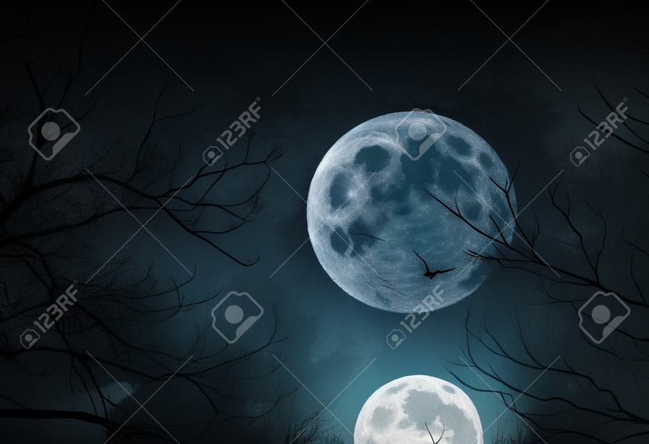 Halloween de fondo. Bosque espeluznante con luna llena y los árboles muertos