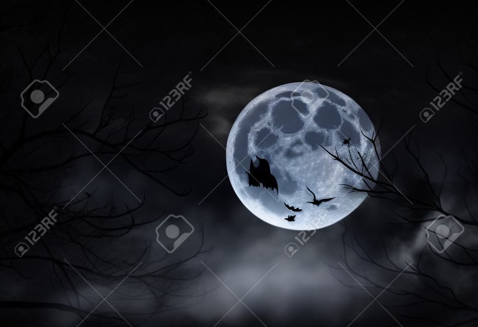 Halloween de fondo. Bosque espeluznante con luna llena y los árboles muertos