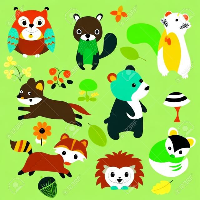 Forest animals vector set of icons and illustrations.