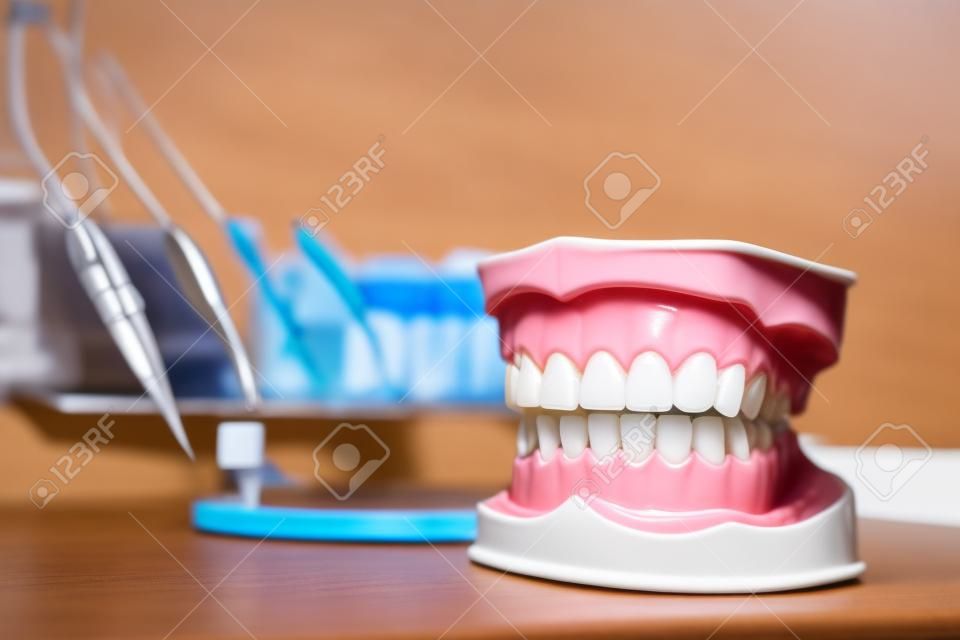 Limpie los dientes de la dentadura, el modelo de la mandíbula dental en el consultorio del dentista. Instrumentos de Odontología y el equipo en el fondo