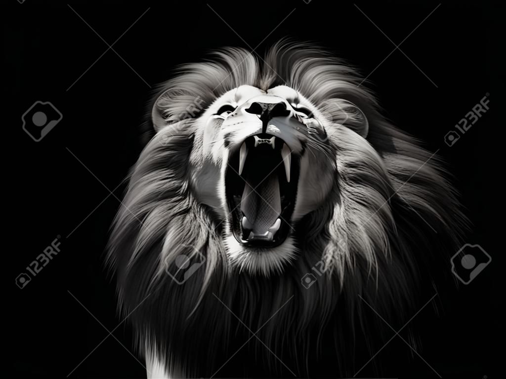 Portret ryczącego lwa na czarnej ilustracji 3D