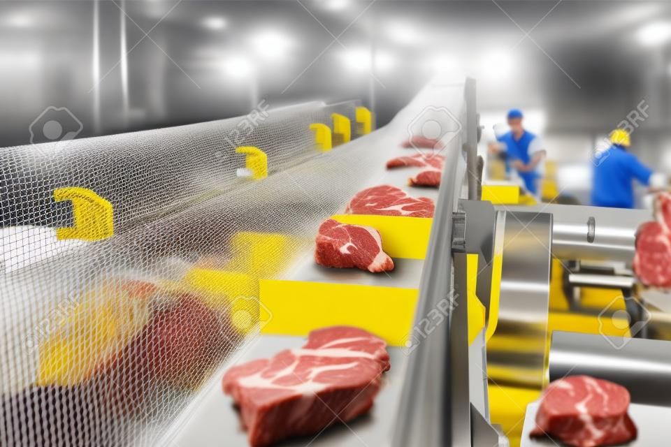 Attrezzature per la lavorazione della carne. Linea di produzione di filetti di pollo di carne di prodotti alimentari in imballaggi di plastica sul nastro trasportatore. Linea di produzione automatizzata con confezionamento e taglio di carne in una moderna fabbrica alimentare.