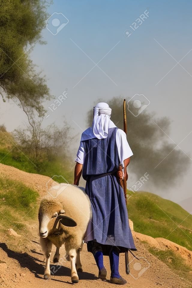 A shepherd in traditional dress leads a ram through the hills of Galilee, Israel