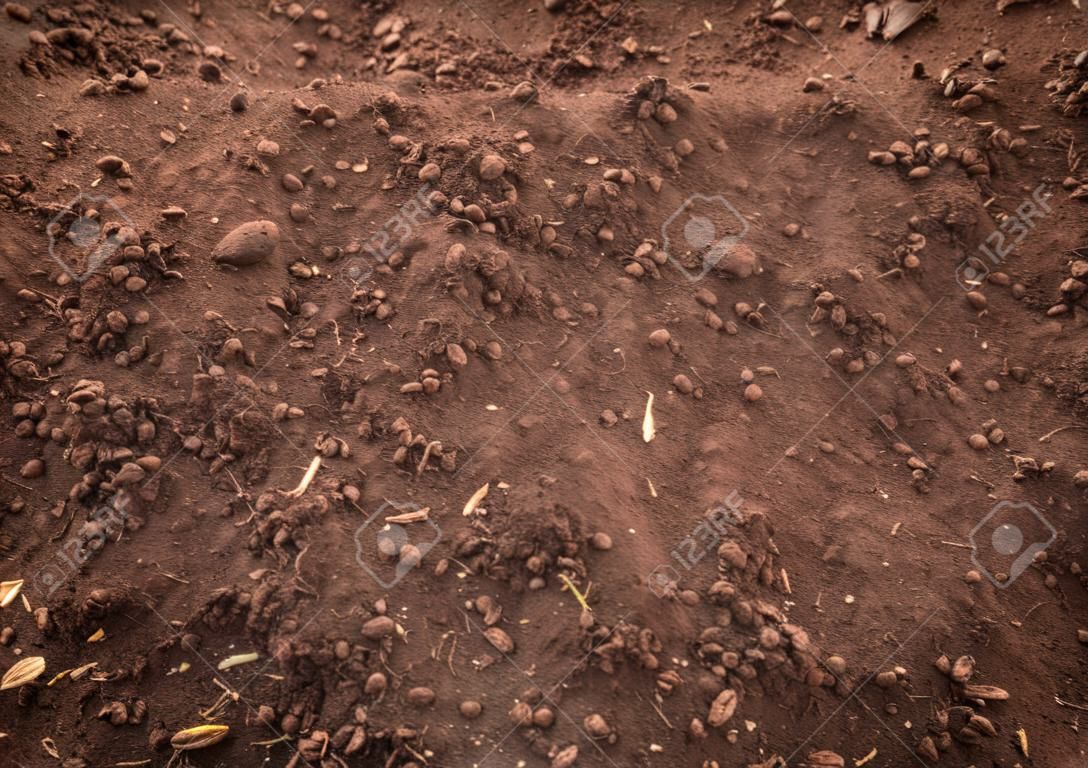 新鮮的棕色土壤背景