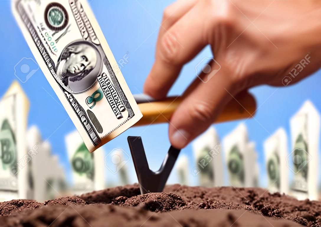 American dollars grow from the ground - carrying the investments
