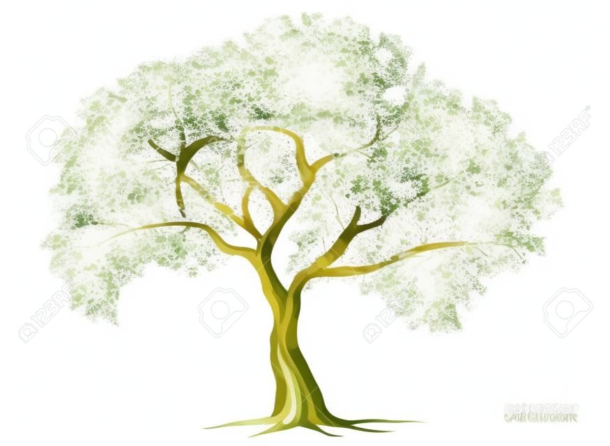 Acuarela vectorial de la vista lateral del árbol aislada sobre fondo blanco para el dibujo de paisajes y arquitectura, elementos para el medio ambiente y el jardín, pintura botánica para la sección y el