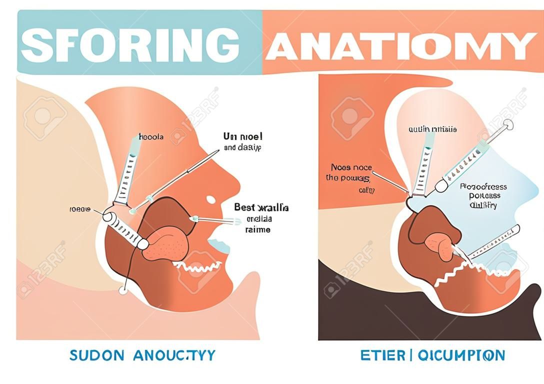 Snoring anatomy medical vector diagram with nose, mouth, tongue and air passage.