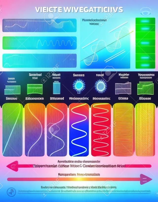 Ondas electromagnéticas: espectro de onda visible. Diagrama de ilustración vectorial con longitud de onda, frecuencia, nocividad y estructura de onda. Información educativa científica. Cartel informativo.