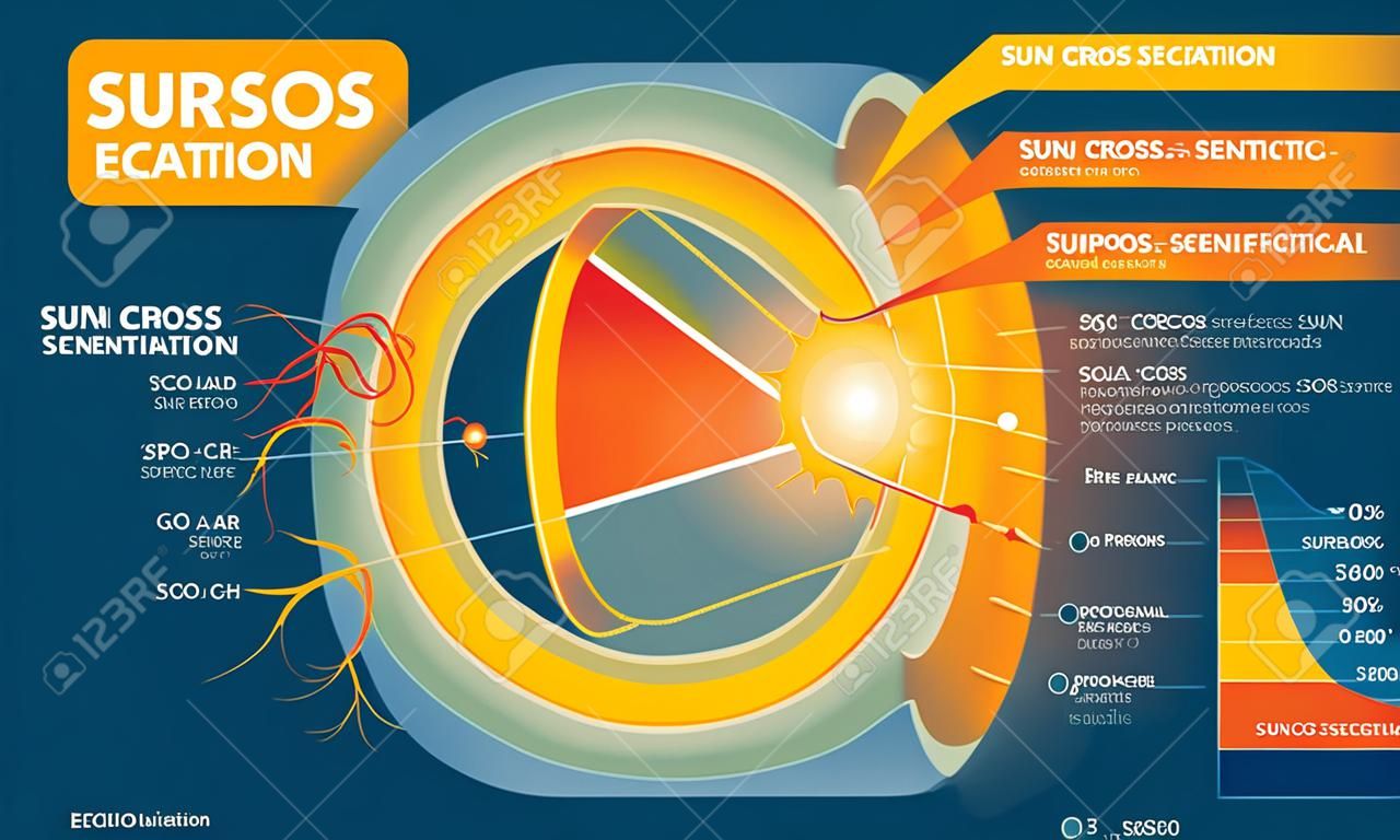Słońce przekrój naukowy wektor ilustracja diagramu z wewnętrznymi warstwami słońca, plamami słonecznymi, rozbłyskiem słonecznym i wyeksponowaniem. Edukacyjny plakat informacyjny.