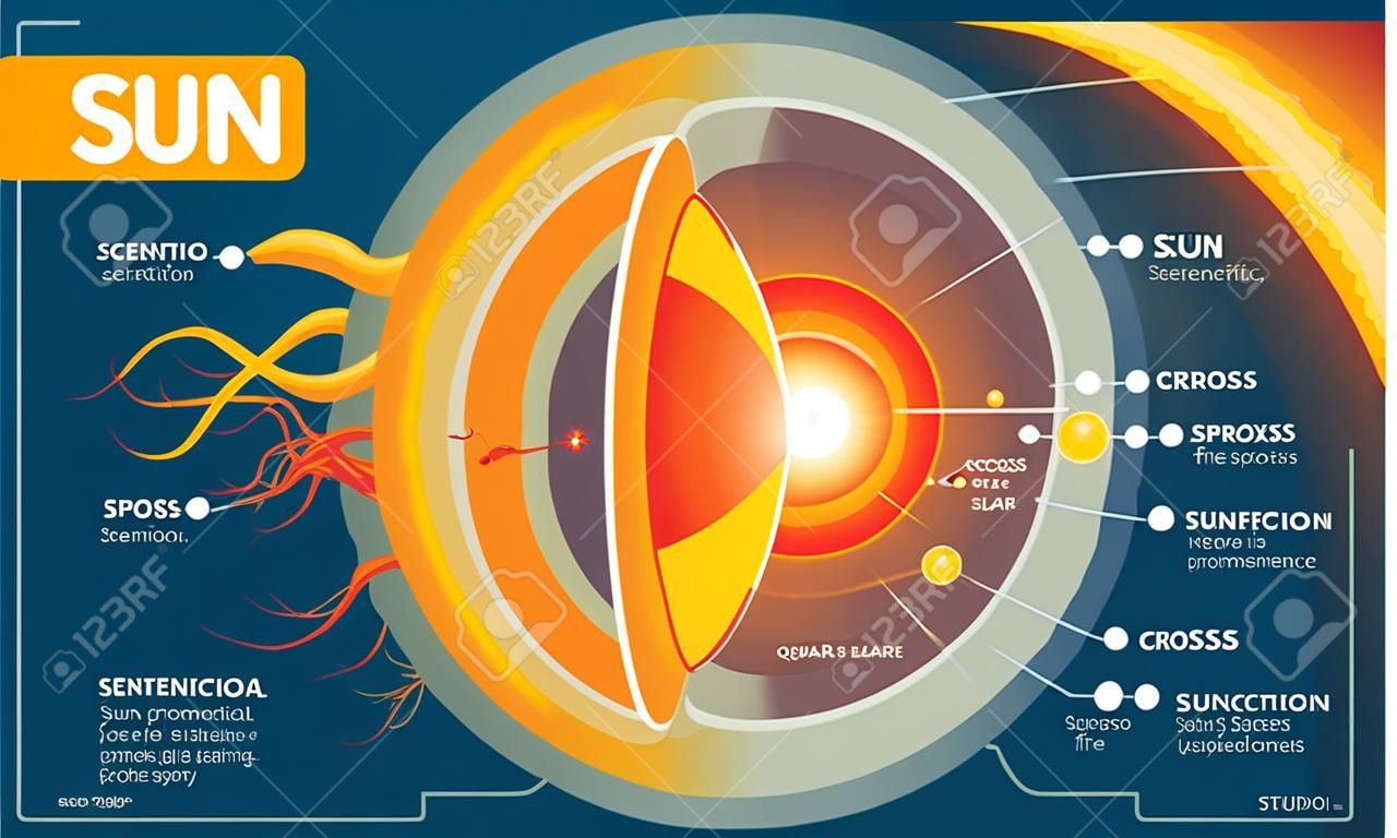 Diagramma scientifico dell'illustrazione di vettore di sezione trasversale del sole con gli strati interni del sole, le macchie solari, il chiarore solare e la prominenza. Poster informativo educativo.