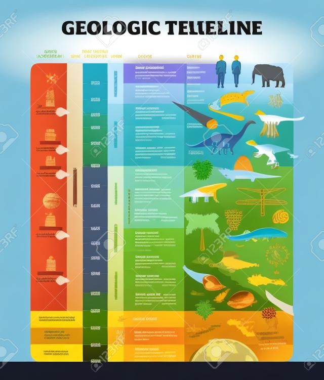 Geologische Timeline-Skala-Vektor-Illustration. Beschriftetes Erdgeschichte-Schema mit Epoche, Ära, Periode, EON und Massenaussterben-Diagramm. Lehrreiche Infografik mit Beispielen, Erklärung und Beschreibung