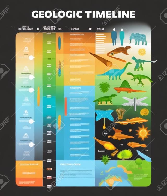 Geologische Timeline-Skala-Vektor-Illustration. Beschriftetes Erdgeschichte-Schema mit Epoche, Ära, Periode, EON und Massenaussterben-Diagramm. Lehrreiche Infografik mit Beispielen, Erklärung und Beschreibung