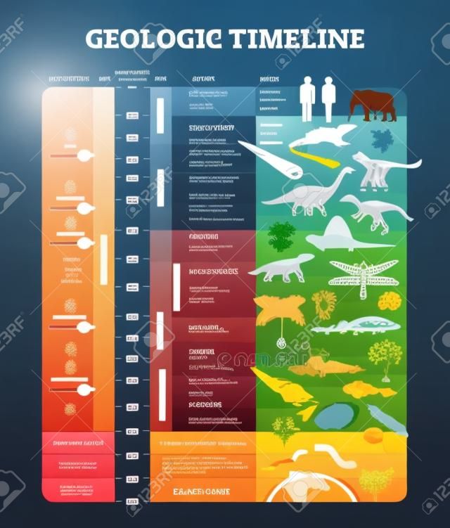 Geologic timeline scale vector illustration. Labeled earth history scheme with epoch, era, period, EON and mass extinctions diagram. Educational inforgraphic with examples, explanation and description