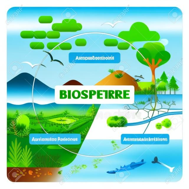 生物圏ベクターの図。野生動物とすべての自然生態系のラベル。大気、水圏、リソスフィアを含む教育例。持続可能な生物多様性と動物に優しい環境
