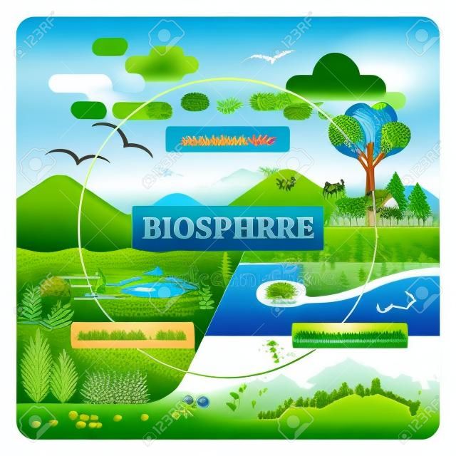 Biosphere vector illustration. Labeled all natural ecosystems with wildlife. Educational example with atmosphere, hydrosphere and lithosphere. Sustainable biodiversity and animal friendly environment.