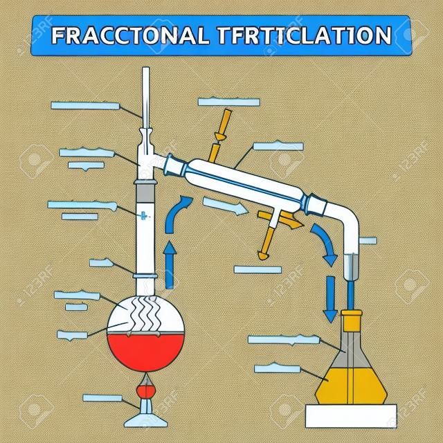 Illustrazione vettoriale di distillazione frazionata. Schema di processo di tecnologia educativa etichettato. Metodo fisico per separare la miscela in frazioni e liquido con apparecchiature a colonna di frazionamento e vapore.
