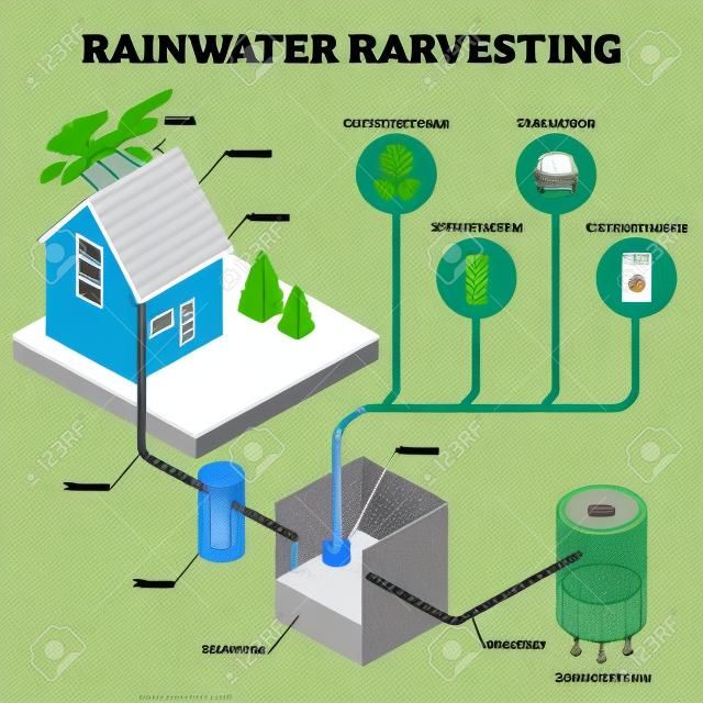 Rainwater harvesting system isometric diagram, illustration scheme with hose roof water runoff, underground piping, filtering, collecting in tank for domestic use. Efficient, natural and green.