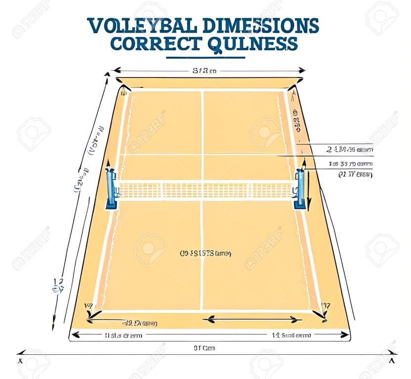 Guía de tamaño de dimensiones de la cancha de voleibol, esquema de diseño de ilustración vectorial. Sistema de configuración de equipamiento deportivo. Centro, ataque y líneas de fondo en barbecho por área de servicio. Corregir tamaños y proporciones de zonas.