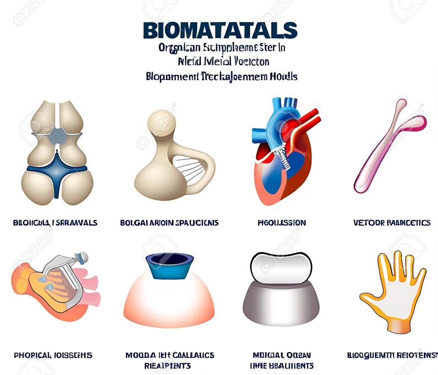 Ilustración vectorial de biomateriales. Equipo de recolección de reemplazo de órganos etiquetado. Sustancia médica para la interacción de sistemas biológicos en el cuidado de la salud. Tecnología de modelos de reemplazos, válvulas e implantes.