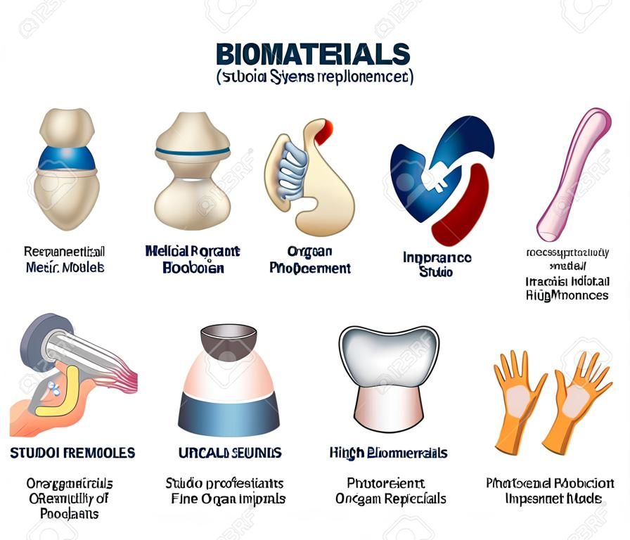 Biomaterials vector illustration. Labeled organ replacement collection set. Medical substance for biological systems interaction in healthcare. Replacements, valves and implants models technology.