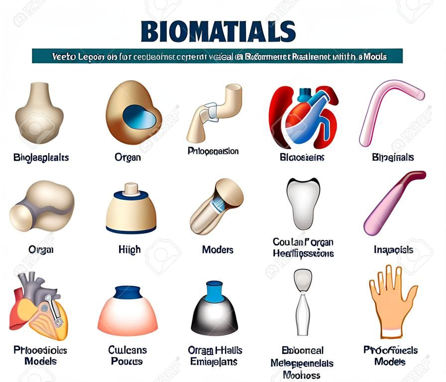 Biomaterials vector illustration. Labeled organ replacement collection set. Medical substance for biological systems interaction in healthcare. Replacements, valves and implants models technology.