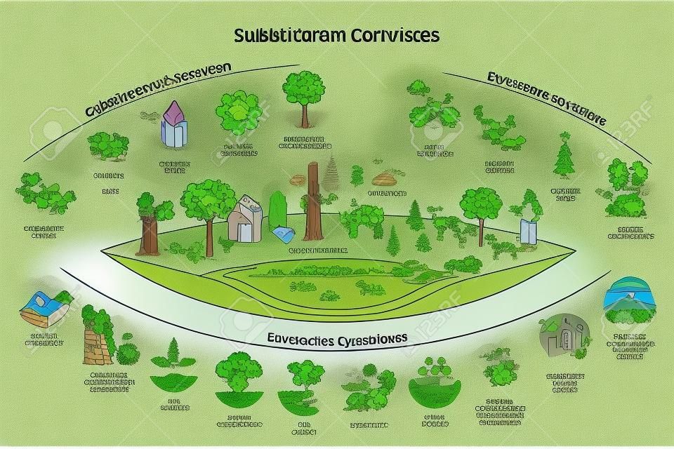 Serviços ecossistêmicos com diagrama de esboço de coleção de categorias de subdivisão