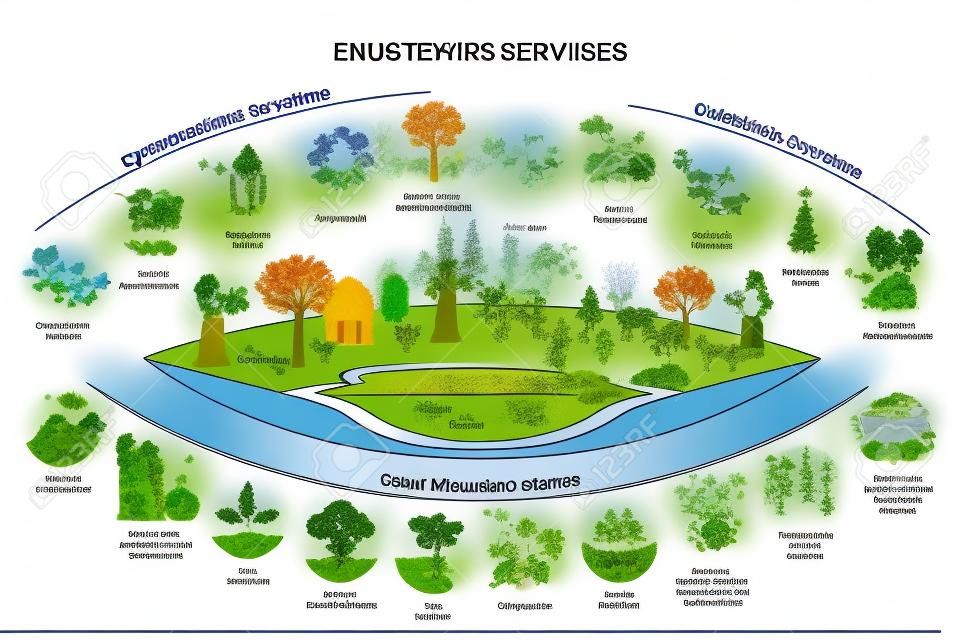 Ecosystem services with subdivision categories collection outline diagram
