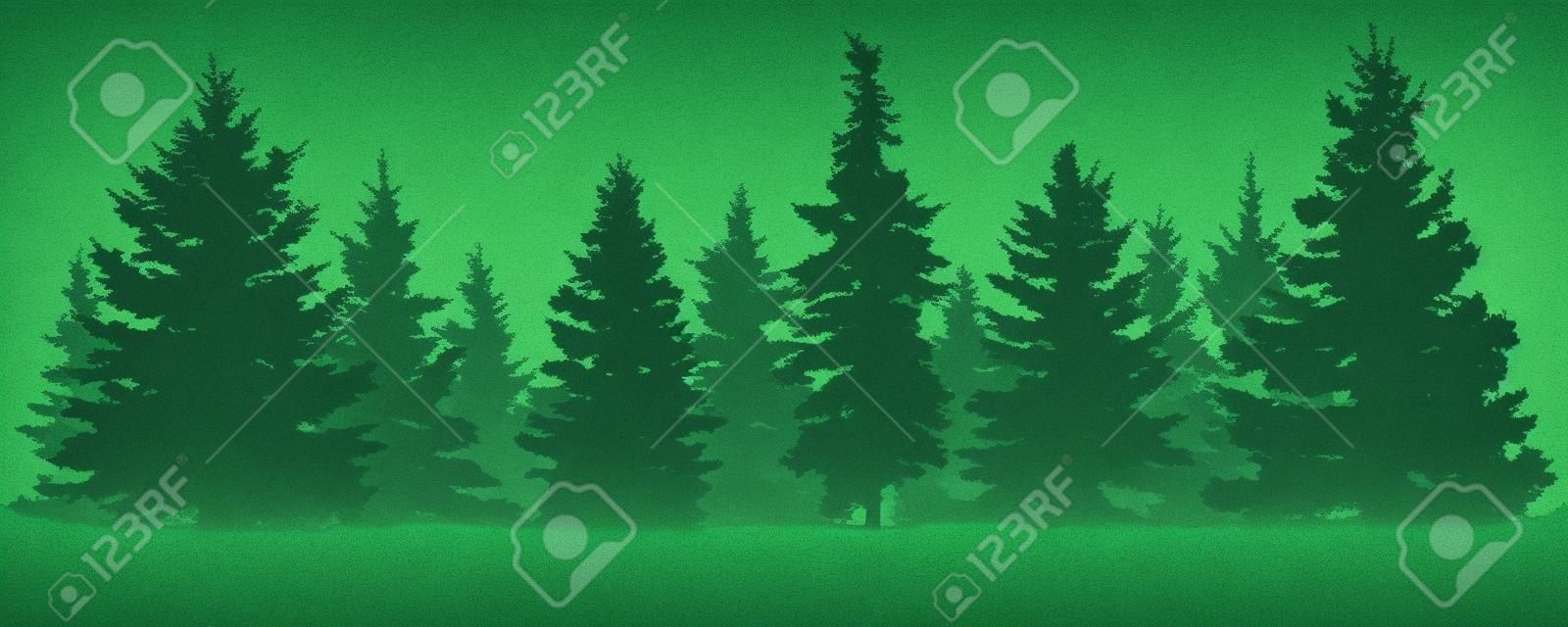Bosque de abetos silueta. Abeto verde conífero. Vector sobre fondo blanco