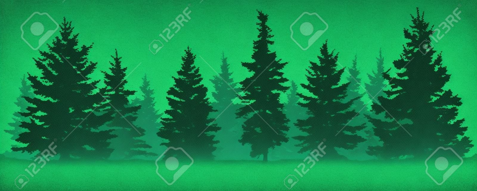 Bosque de abetos silueta. Abeto verde conífero. Vector sobre fondo blanco