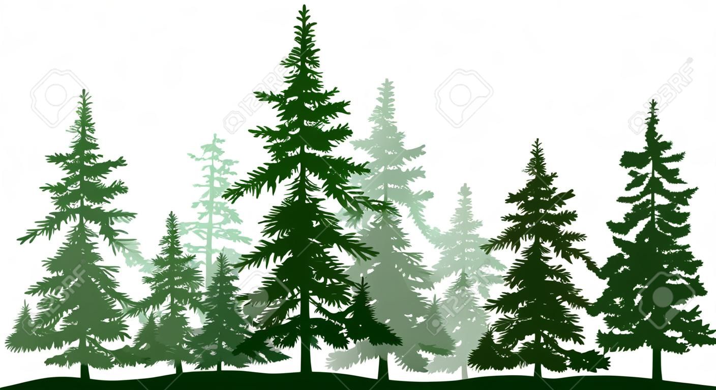 Green forest evergreen pine, tree isolated. Park Christmas tree. Individual, separate objects. Vector illustration