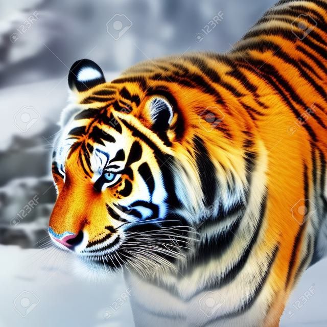Siberian tiger in the Zoo.