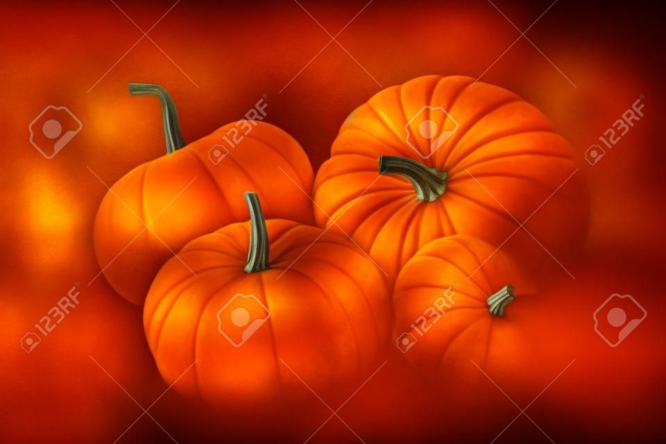 Photo  orange pumpkins on black