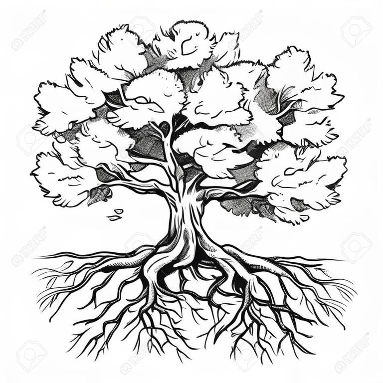 Spreading tree with leaves and rootage, hand drawn sketch, vector illustration