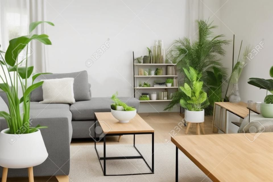 Interior escandinavo elegante y moderno de sala de estar de espacio abierto con cuenco de bambú con frutas en la mesa de café, cojines de sofá gris y muchas plantas verdes, diseño interior de casa de espacio abierto