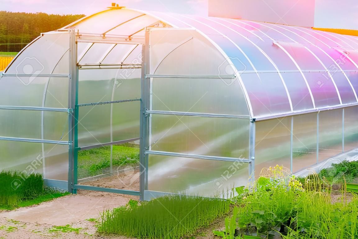 Accelerated cultivation of vegetables in the greenhouse in the country