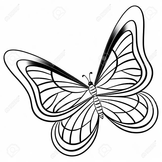  butterfly, hand-draw monochrome contours on a white background