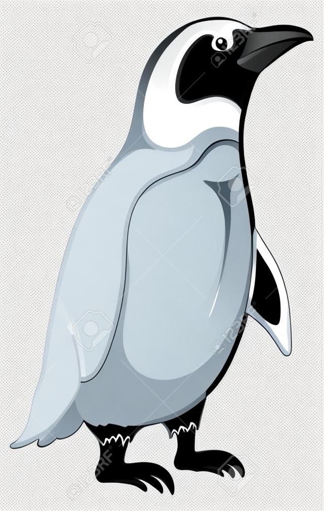 Antarctic black and white emperor penguin on white background. Vector