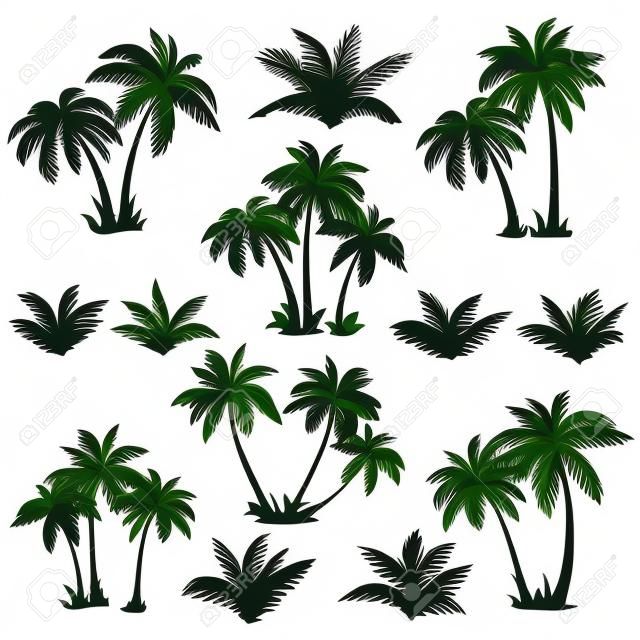 Set tropical palm trees with leaves, mature and young plants, black silhouettes isolated on white background  Vector