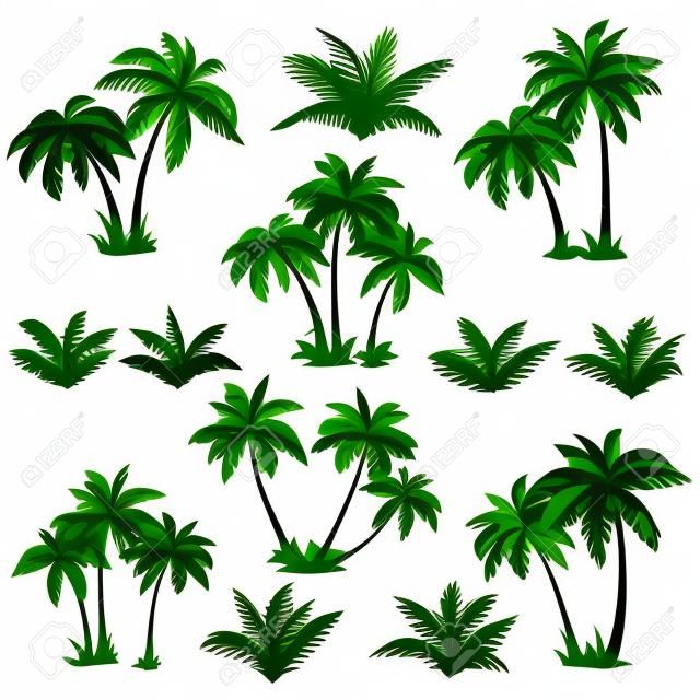 Definir palmeiras tropicais com folhas, plantas maduras e jovens, silhuetas pretas isoladas no fundo branco Vetor