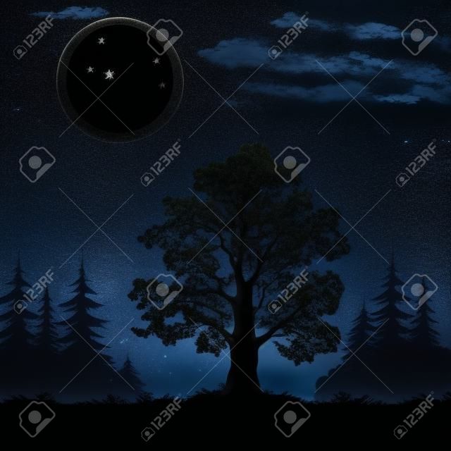 Дуб, черный силуэт на фоне ночного елового леса и небо с луной