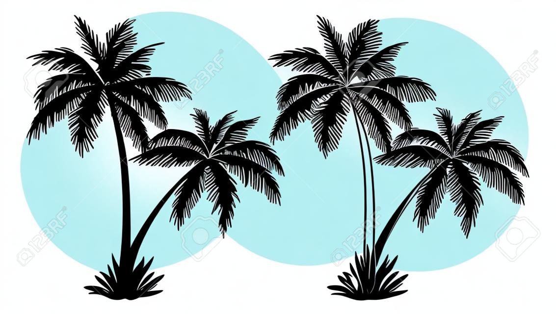 Tropical Palm Trees, Black Silhouettes and Outline Contours Isolated on White Background. Vector
