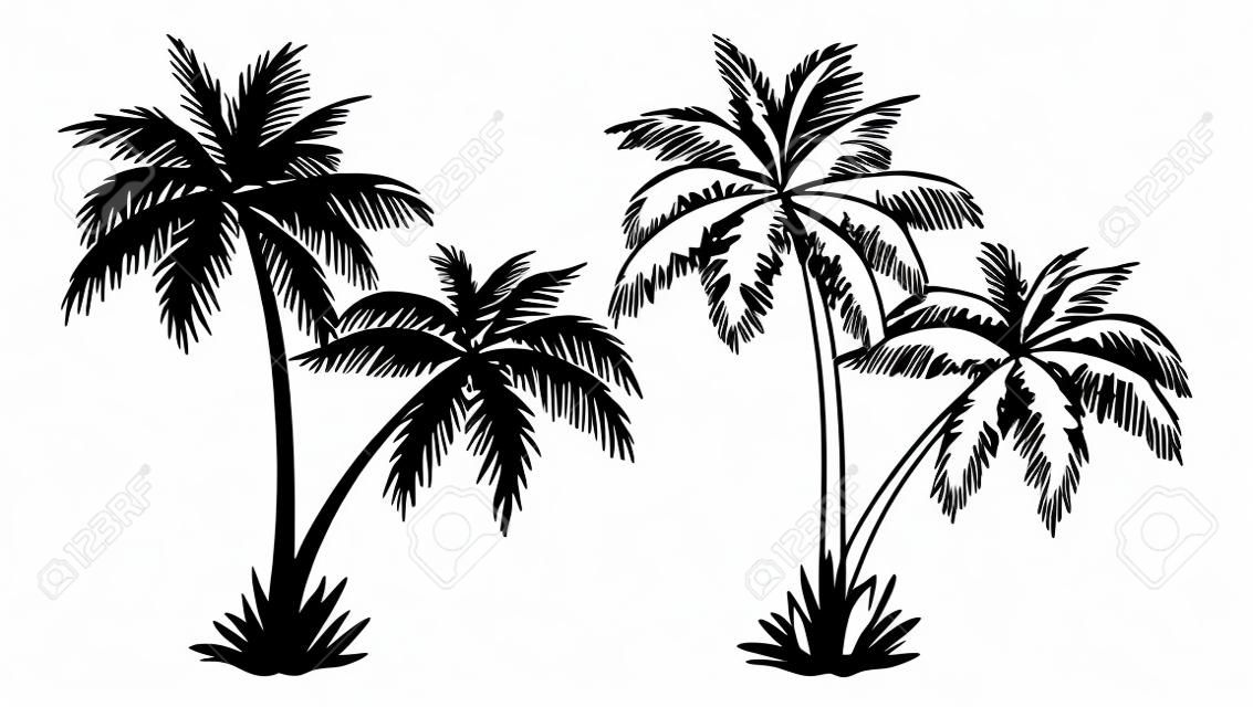 Trópusi pálmafák, fekete sziluettek és Vázlat kontúrok elszigetelt fehér alapon. Vektor