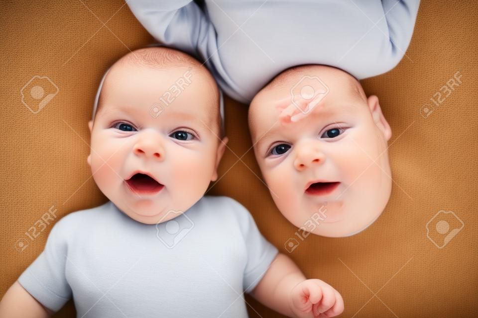Adorable twins babies boys  Top view of children 