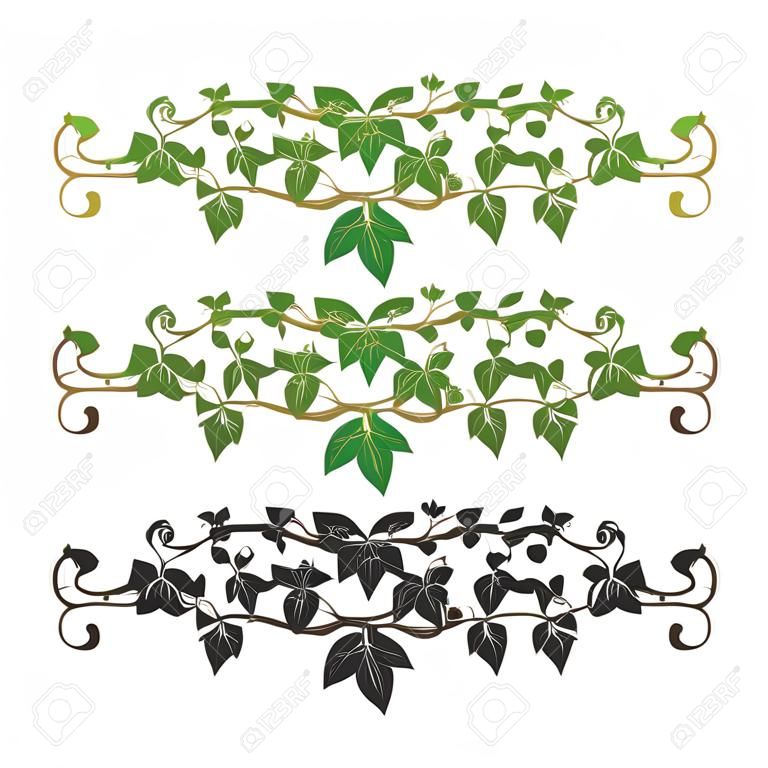 illlusstration modello di pianta di edera