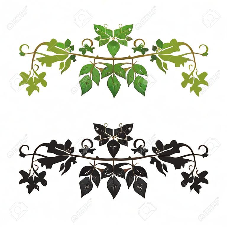 pattern illlusstration of ivy plant