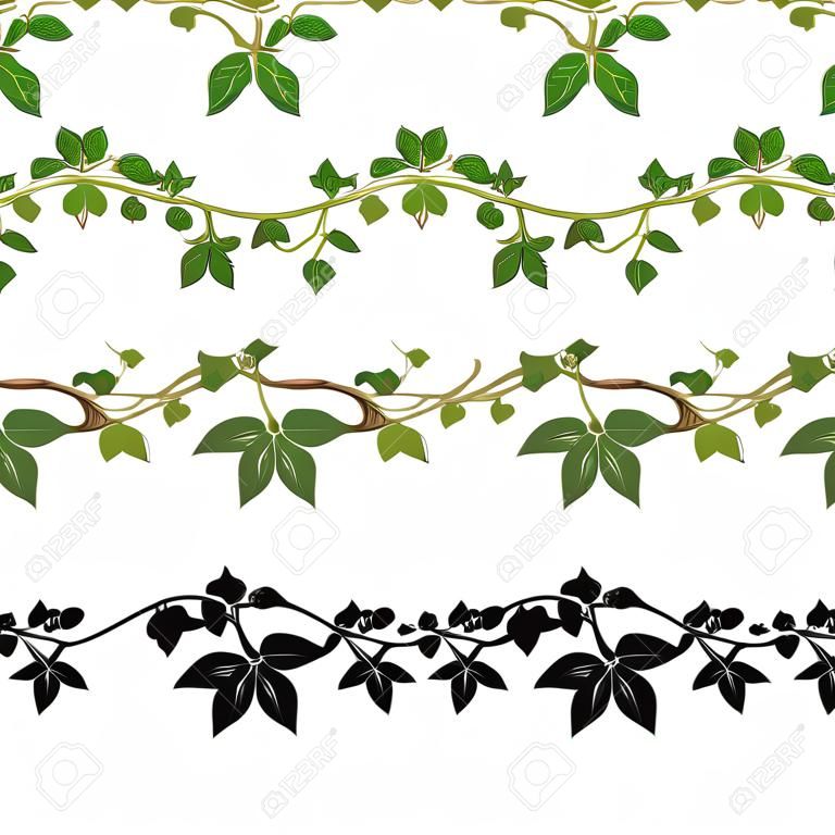 illlusstration modello di pianta di edera