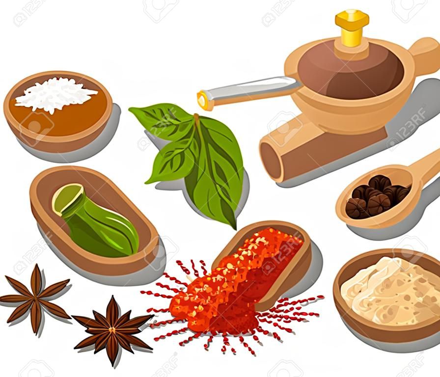 illustration of different seasonings, condiment and spices with grinder