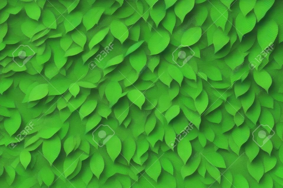 Green leaves background or the naturally walls texture